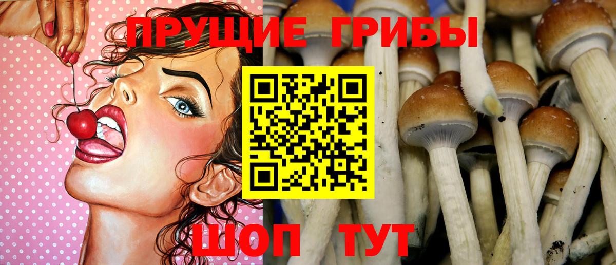Псилоцибиновые грибы мицелий Ялта